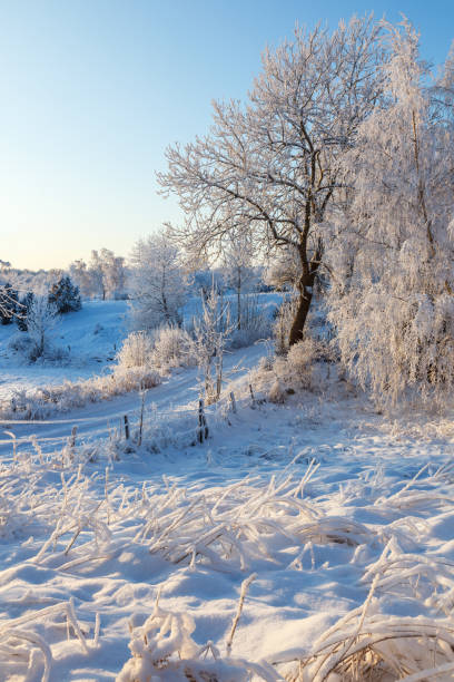 istock Idyllic winter landscape with snow and frost 1072102382