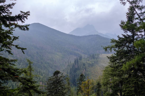 istock Distant mountain cores in slovakia Tatra mountain trails 1072104650