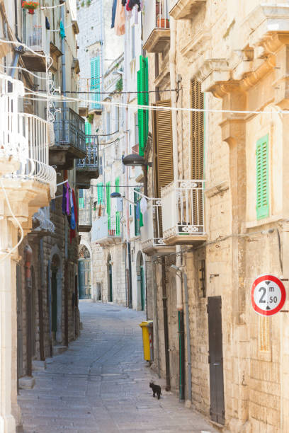 istock Molfetta, Apulia - A black cat tiptoeing through a historic alleyway in Molfetta 1072117936