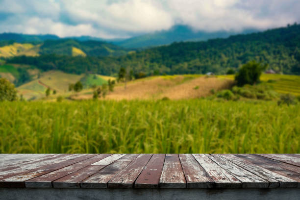 istock Old wooden floor and blurry paddy field in background. 1072129894