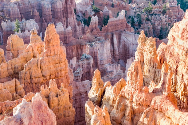 istock beautiful landscape in Bryce Canyon with magnificent Stone formation 1072132638