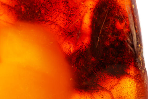 istock Macro Amber mineral stone on white background 1072133258