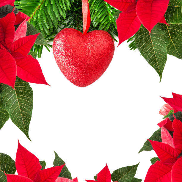 istock Winter rose background and heart 1072140124