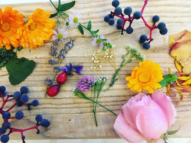 istock Flowers from Mother's Garden 1072155556