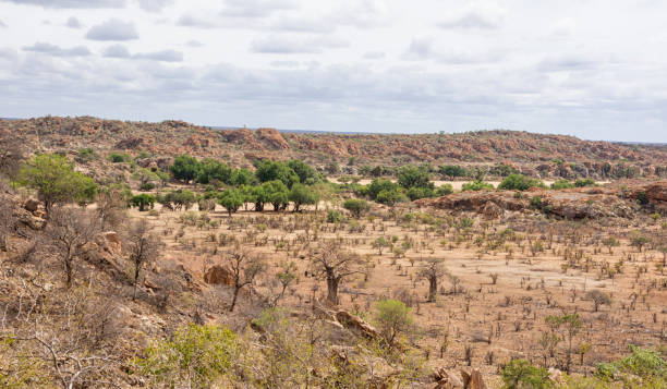 istock Limpopo Landscape 1072156634
