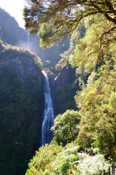 istock Waterfall on Madeira Island, Portugal 1072157872