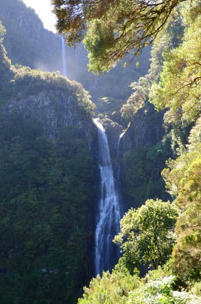 istock Waterfall on Madeira Island, Portugal 1072158372