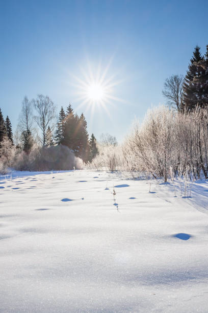 Winter field over blue clear sky
