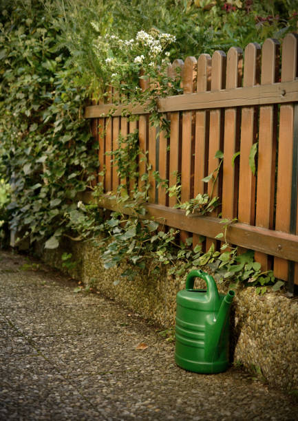 istock watering can garden summer vintage romantic rustic rural 1072168662