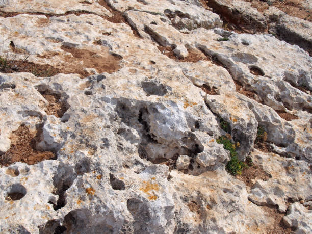 istock rough grey eroded limestone ground on a beach with scattered sand 1072169084