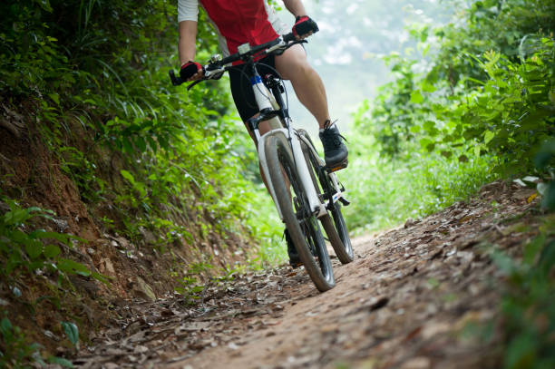 istock Cyclist legs riding Mountain Bike on forest trail 1072169708