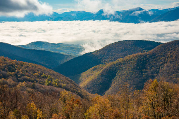 istock A sea of clouds 1072170946