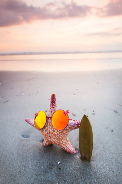 istock Starfish surfer on beach 1072171560