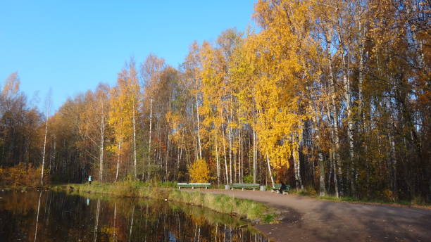 Autumn in Saint Petersburg parks 2018 stock photo