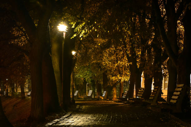 istock Rain in a foggy city 1072173872