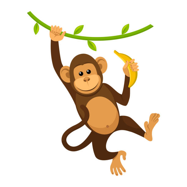 A cartoon monkey Illustrationen visar en tecknad apa som hänger i lijanerna och äter banan monkey stock illustrations