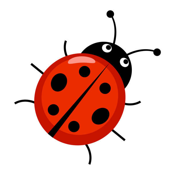 en söt liten tecknad nyckelpiga - ladybug stock-grafiken, -clipart, -cartoons und -symbole