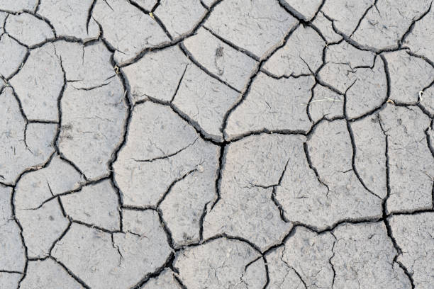istock Cracks in the soil due to drought. Background. Place for your text. 1072175806
