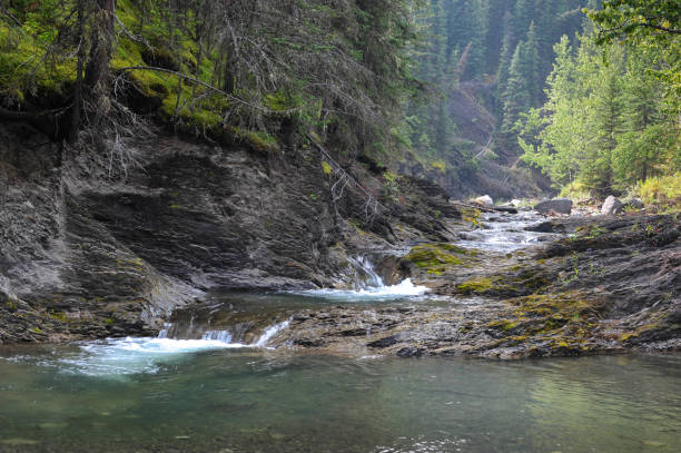 istock Hidden Mountain Stream Cascades to Lower Pond 1072179904