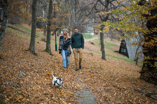 istock Together hiking in forest 1072181638