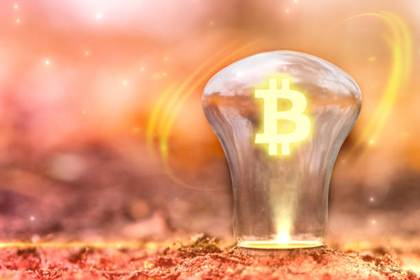 istock Bitcoin sign concept with copy space. Bitcoin logo inside light bulb growing out of ground. Autumn background. 1072182756