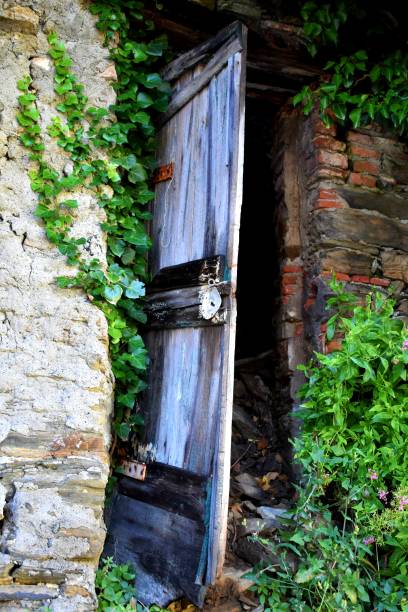 istock Old Wooden Door 1072183236
