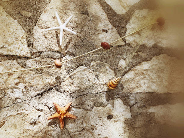 istock hanged starfishes and fishing net on wall 1072187676