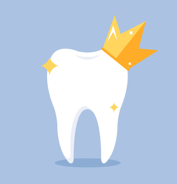 Healthy shiny tooth with crown. Somatology dentist concept. Vector flat cartoon design graphic illustration icon Healthy shiny tooth with crown. Somatology dentist concept. Vector flat cartoon design graphic illustration dental crown stock illustrations