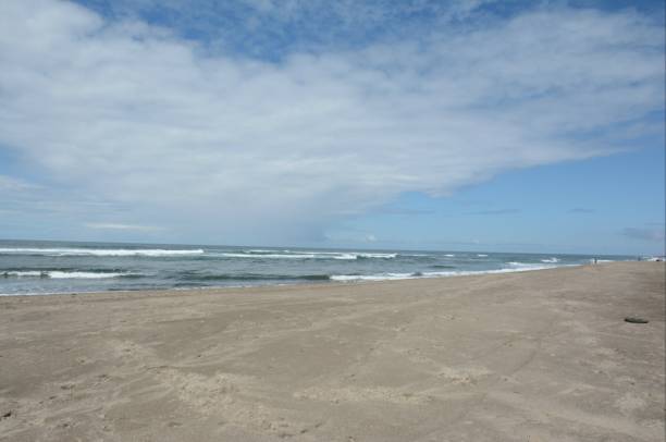istock Spring Excerpt From Siletz Bay Beach - Oregon Central Coast 1072191740