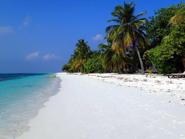 istock Beach on Kuredu island -Maldives 1072193540