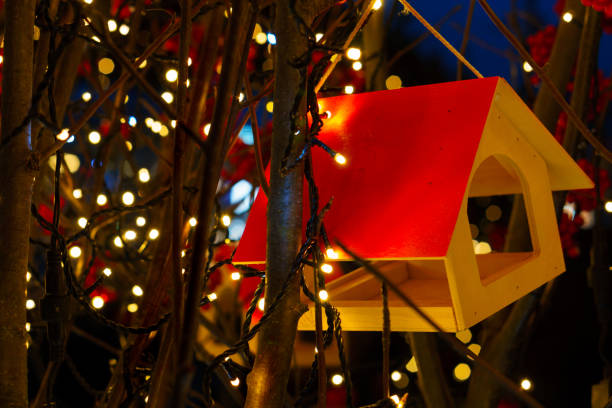 istock Bird house and Christmas lights 1072193884