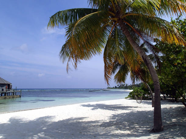 istock Beach on Kuredu island -Maldives 1072194156