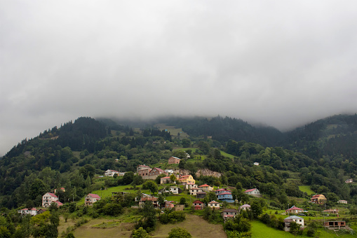 View of high plateau village, mountains and forest in fog creating beautiful nature scene. The image is captured in Trabzon/Rize area of Black Sea region located at northeast of Turkey.