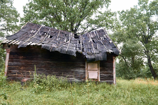 istock old wooden house in the forest 1072198200