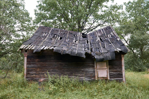 istock old wooden house in the forest 1072198244