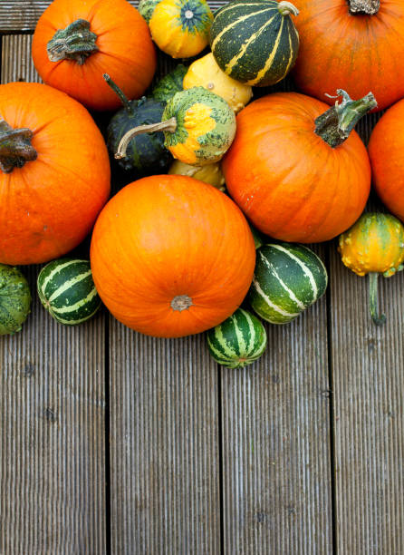 istock colorful pumpkins on wooden surface 1072200680