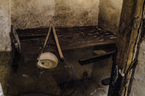 Flooded basement. Harmful effects of water and mold.