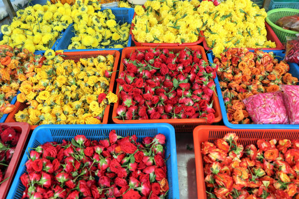 istock Rose market in Singapore 1072203128