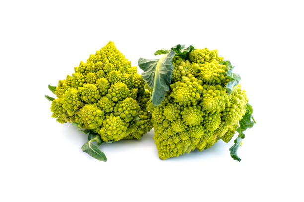 istock A whole romanesco isolated on white background 1072204816