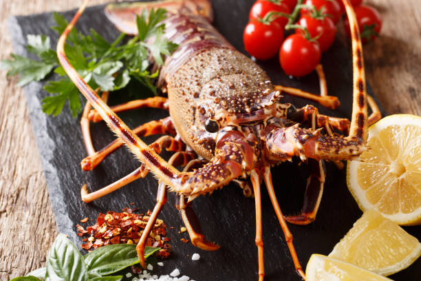 istock Raw spiny lobster with tomato, lemon and herbs macro on a black board. horizontal 1072205086