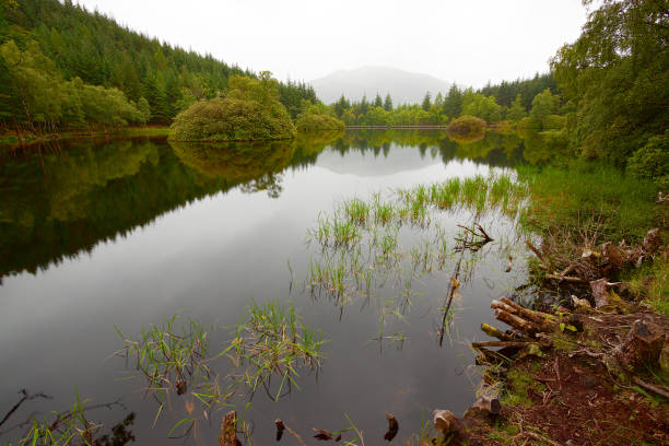 istock Glencoe Lochan landscape 1072214380