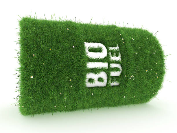 istock 3D rendering barrel of biofuels 1072227372