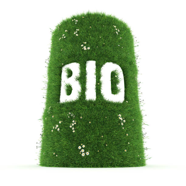 istock 3D rendering barrel of biofuels 1072227490