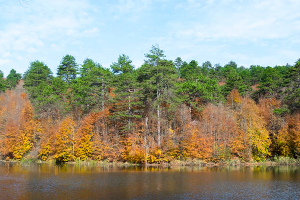 istock Colorful trees and lake in autumn 1072227650
