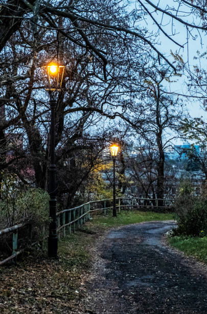 istock Evening street scene, Nitra, Slovakia 1072230782