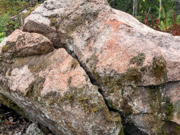 istock Large boulder, overgrown with moss with a crack 1072230922