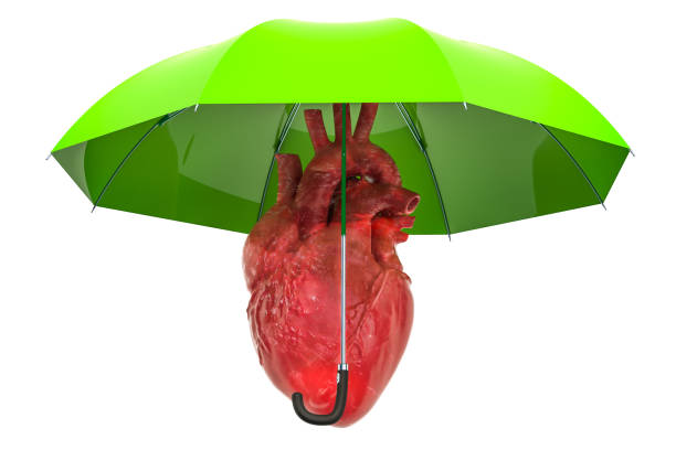 istock Human heart under umbrella, heart protect concept. 3D rendering isolated on white background 1072238634
