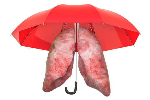 istock Human lungs under umbrella, protect concept. 3D rendering isolated on white background 1072238702