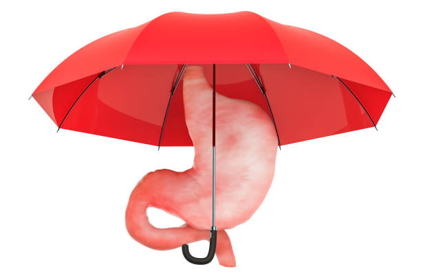 istock Human stomach under umbrella, protect concept. 3D rendering isolated on white background 1072238730