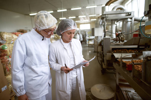istock Workers controling food quality in factory. 1072242954